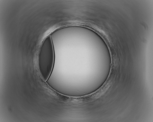 X0000113851365200909240956