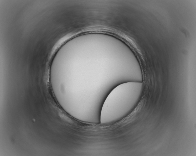 X0000113851366200909240956