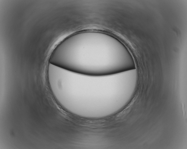 X0000113851367200909240956