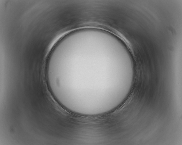 X0000113851368200909240956