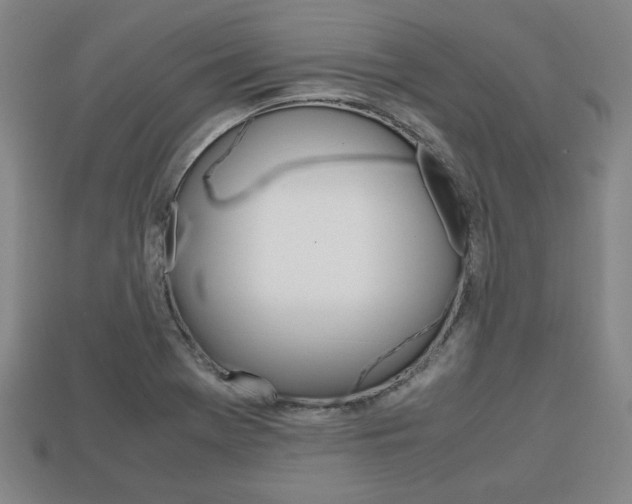 X0000113851369200909240956