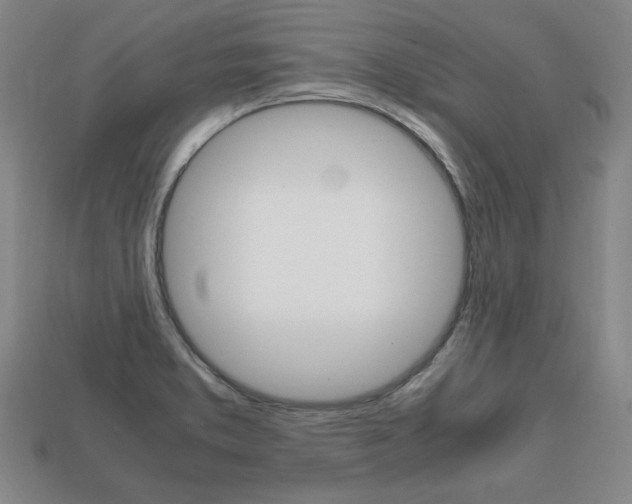X0000113851373200909240955