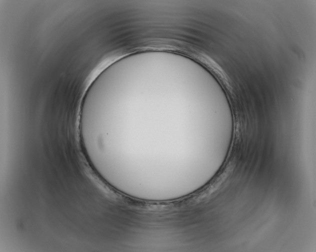 X0000113851378200909240955