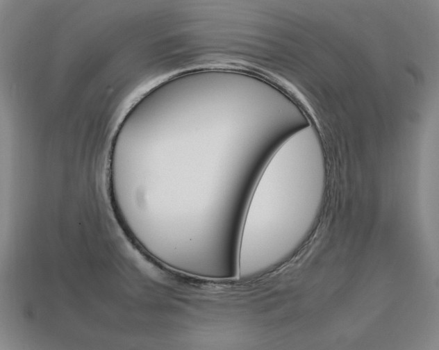 X0000113851379200909240955