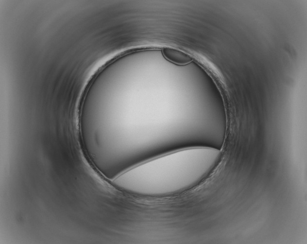 X0000113851380200909240955