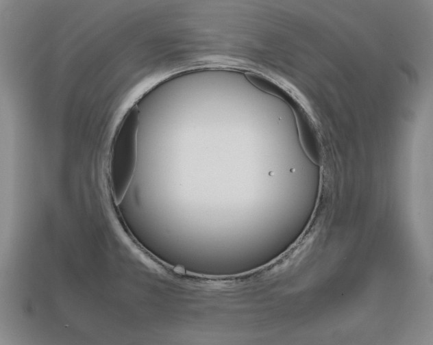 X0000113851381200909240955