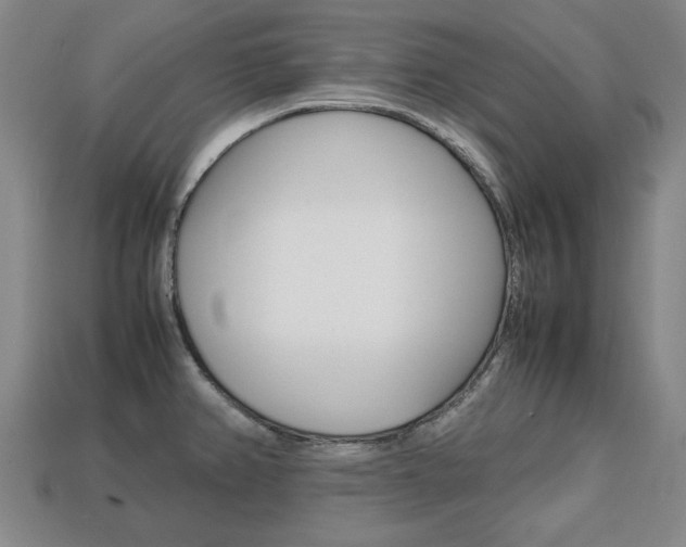 X0000113851382200909240955