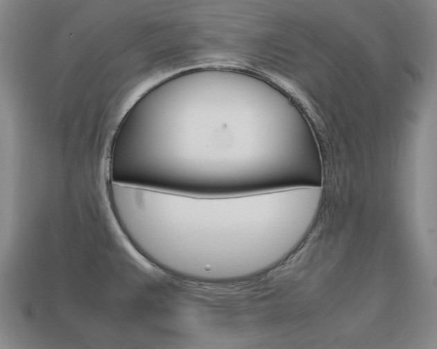 X0000113851383200909240955