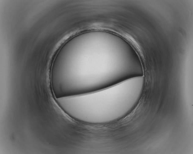 X0000113851384200909240955