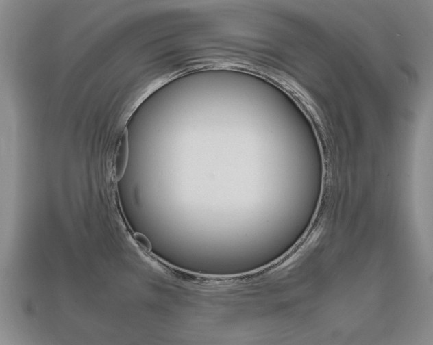 X0000113851385200909240955