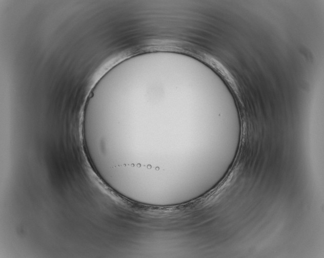 X0000113851386200909240955