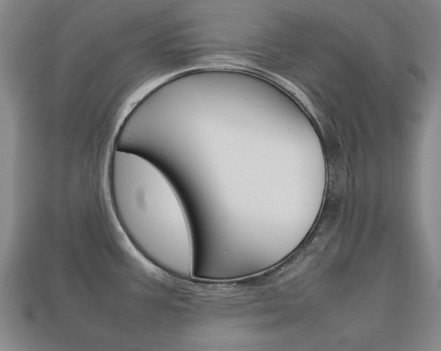 X0000113851387200909240955