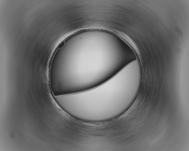 X0000113851388200909240955