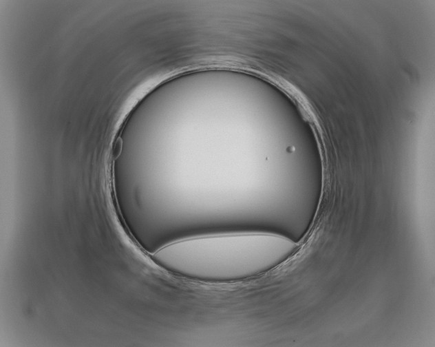 X0000113851389200909240955