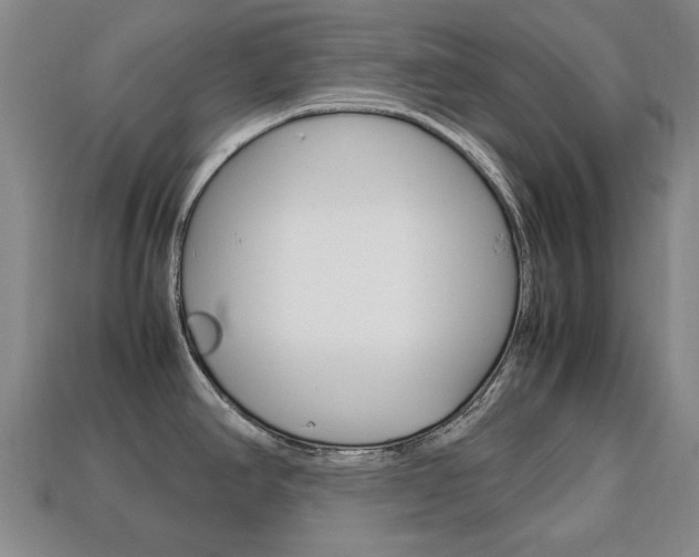 X0000113851390200909240955
