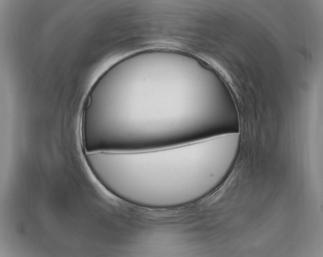 X0000113851391200909240955