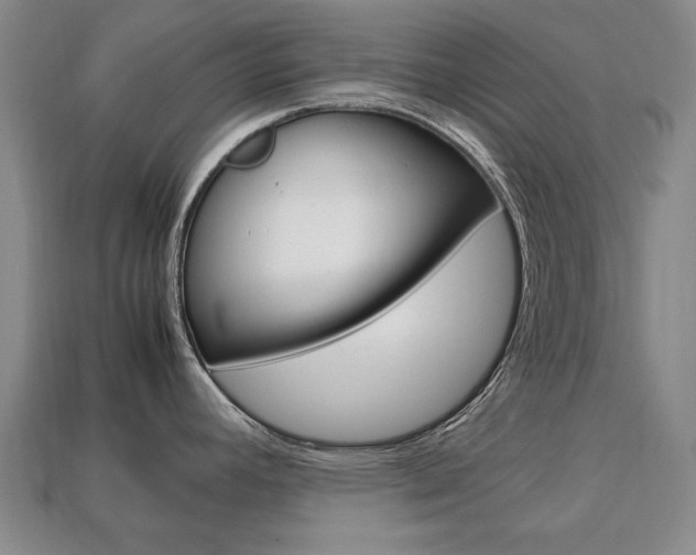 X0000113851392200909240955