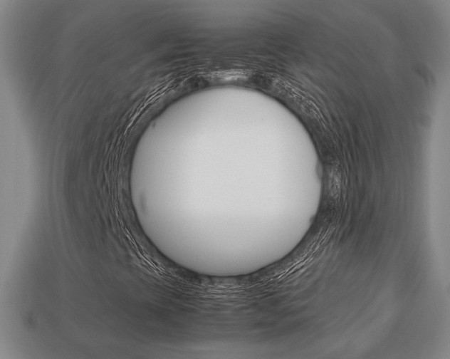 X0000113851393200909240955
