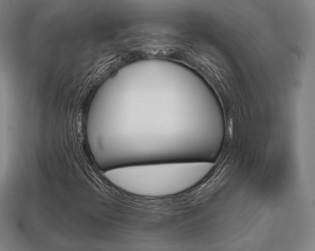 X0000113851396200909240955