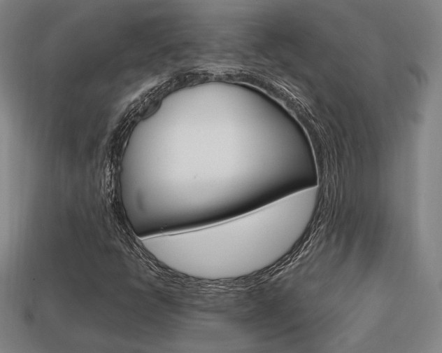 X0000113851398200909240955