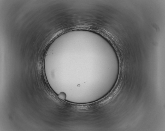 X0000113851401200909240955