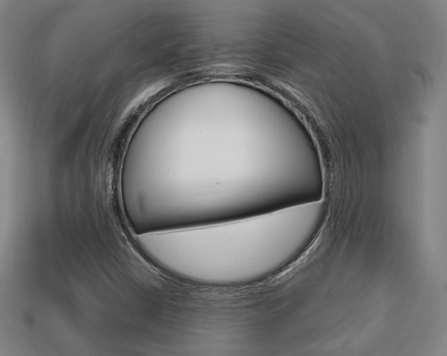 X0000113851402200909240955