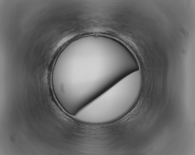 X0000113851404200909240955