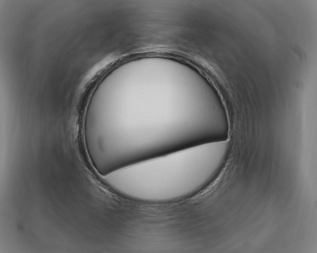 X0000113851406200909240955