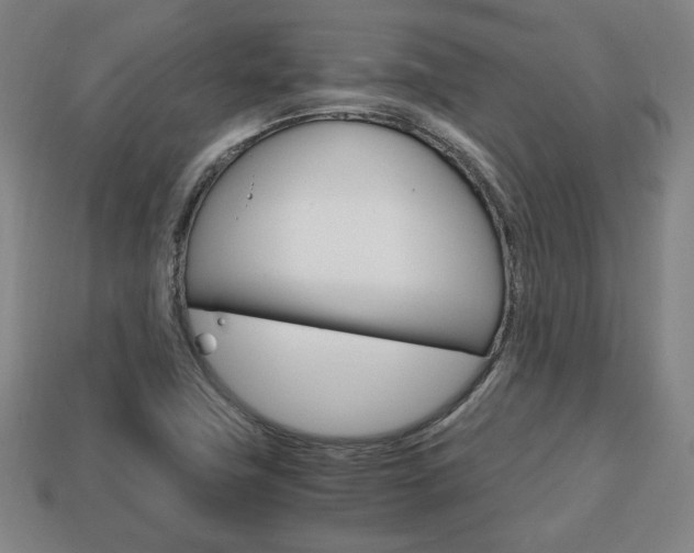 X0000113851411200909240955