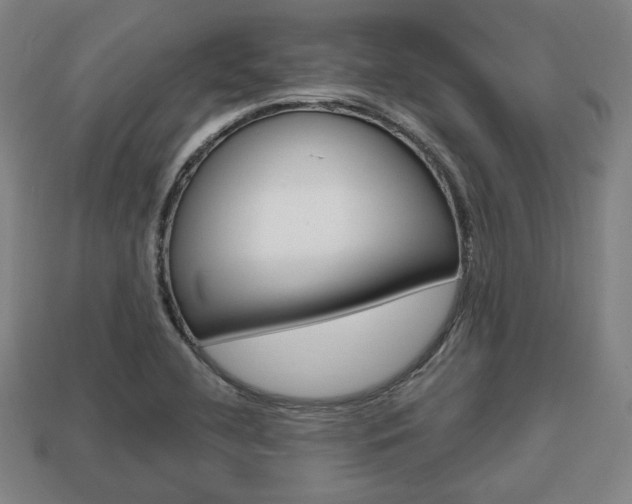 X0000113851412200909240955