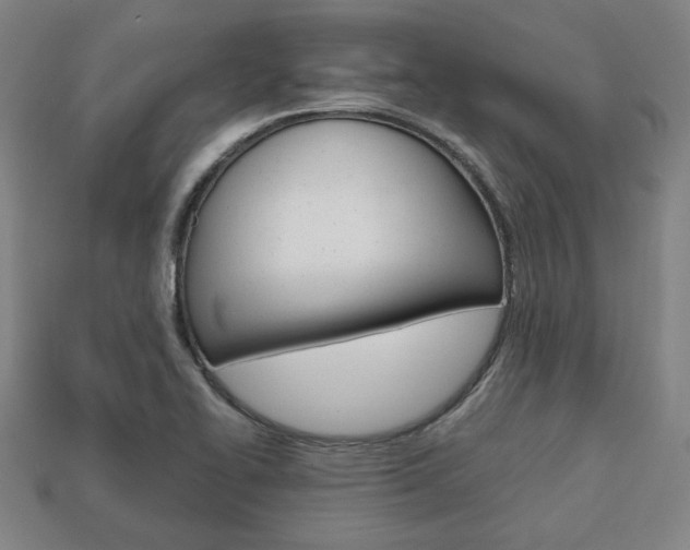 X0000113851414200909240955