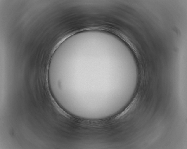 X0000113851417200909240955