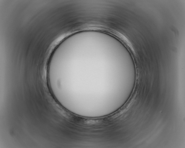 X0000113851419200909240955
