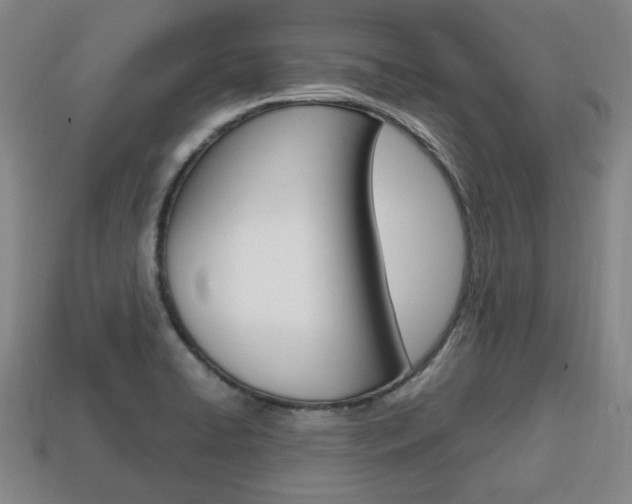 X0000113851422200909240955