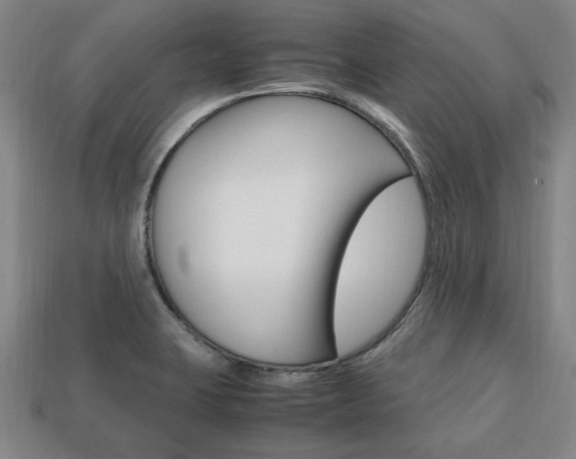 X0000113851423200909240955
