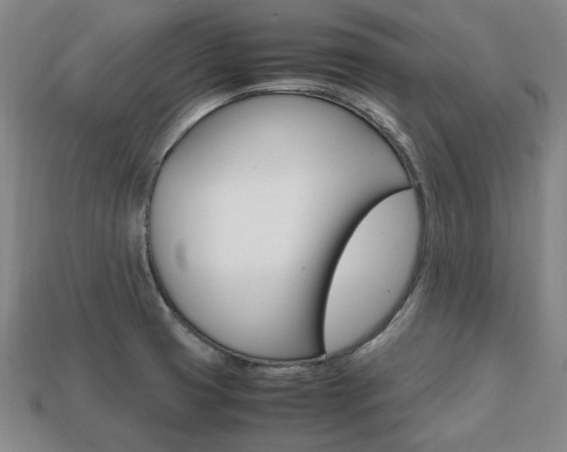 X0000113851425200909240955