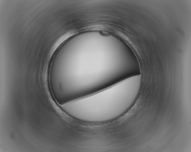 X0000113851426200909240955