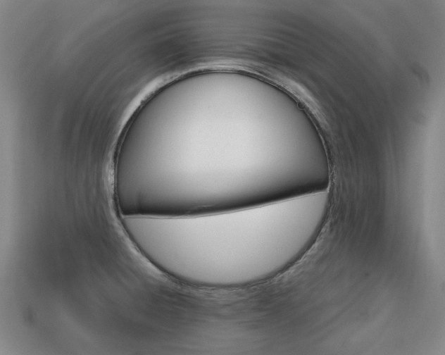 X0000113851428200909240955