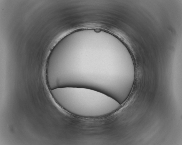 X0000113851429200909240955