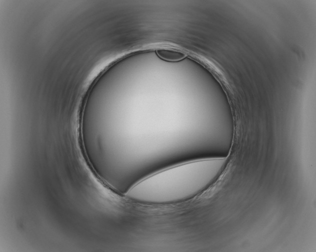 X0000113851430200909240955