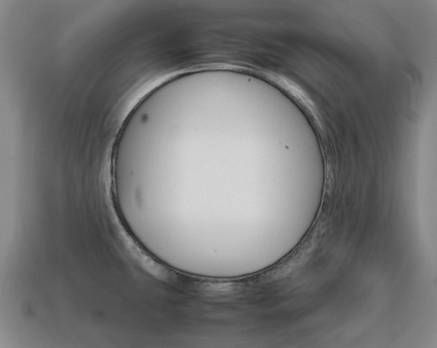 X0000113851431200909240955