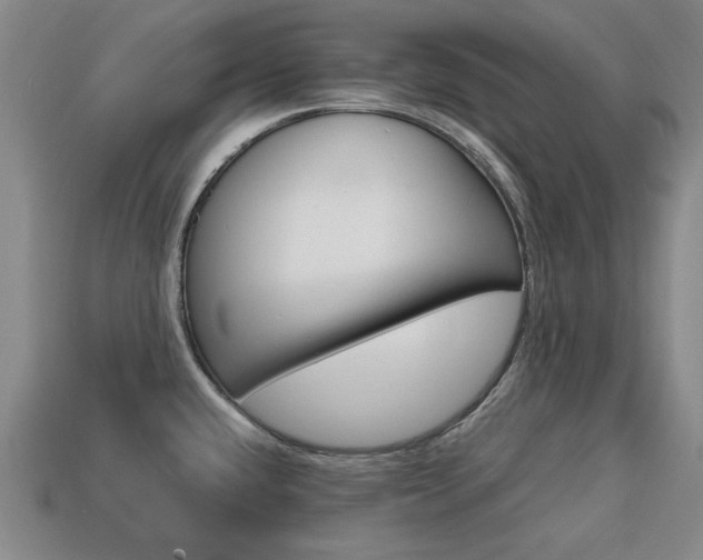 X0000113851432200909240955