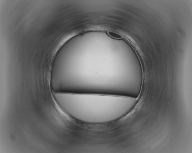 X0000113851433200909240955