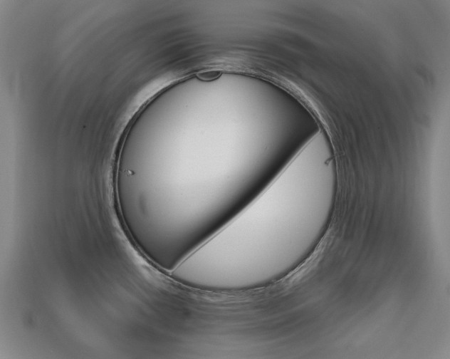 X0000113851434200909240955
