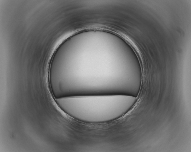 X0000113851437200909240955