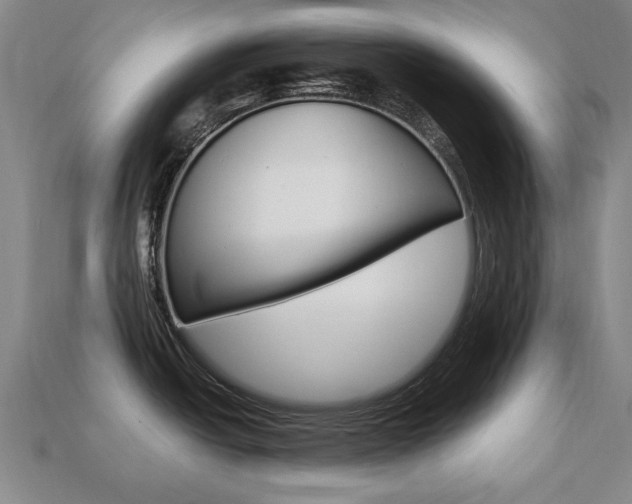 X0000113851438200909240955