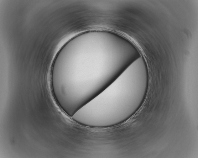 X0000113851440200909240955