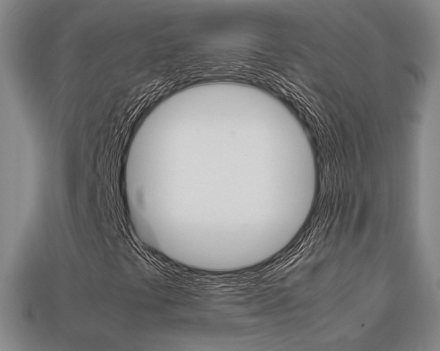 X0000113851441200909240955