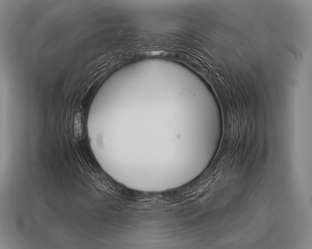X0000113851442200909240955