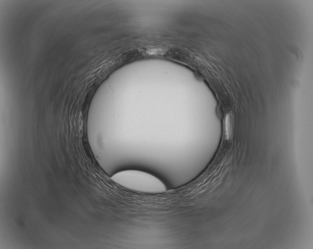 X0000113851443200909240955